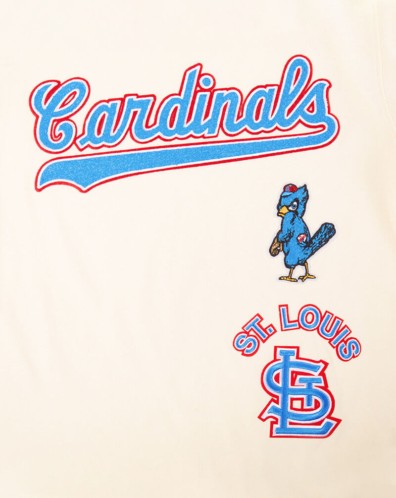 PRO STANDARD Big Boys' St. Louis Cardinals Retro Short Sleeve Classic Striped Tee LSCB1315094-EUN cream 4