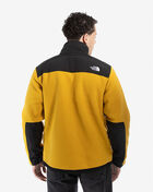 Denali 2 Jacket