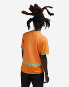 Ivory Coast Home Replica Jersey