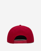 9Fifty Philadelphia Phillies DOTD Snapback Hat