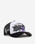 9Forty A-Frame Chicago White Sox State Flower Snapback Hat
