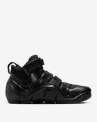 Zoom LeBron IV