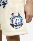 PRO STANDARD Tampa Bay Rays Area Code Mesh Shorts LTB3314738-EGG White 3