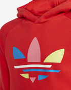 Boys' Adicolor Bold Hoodie