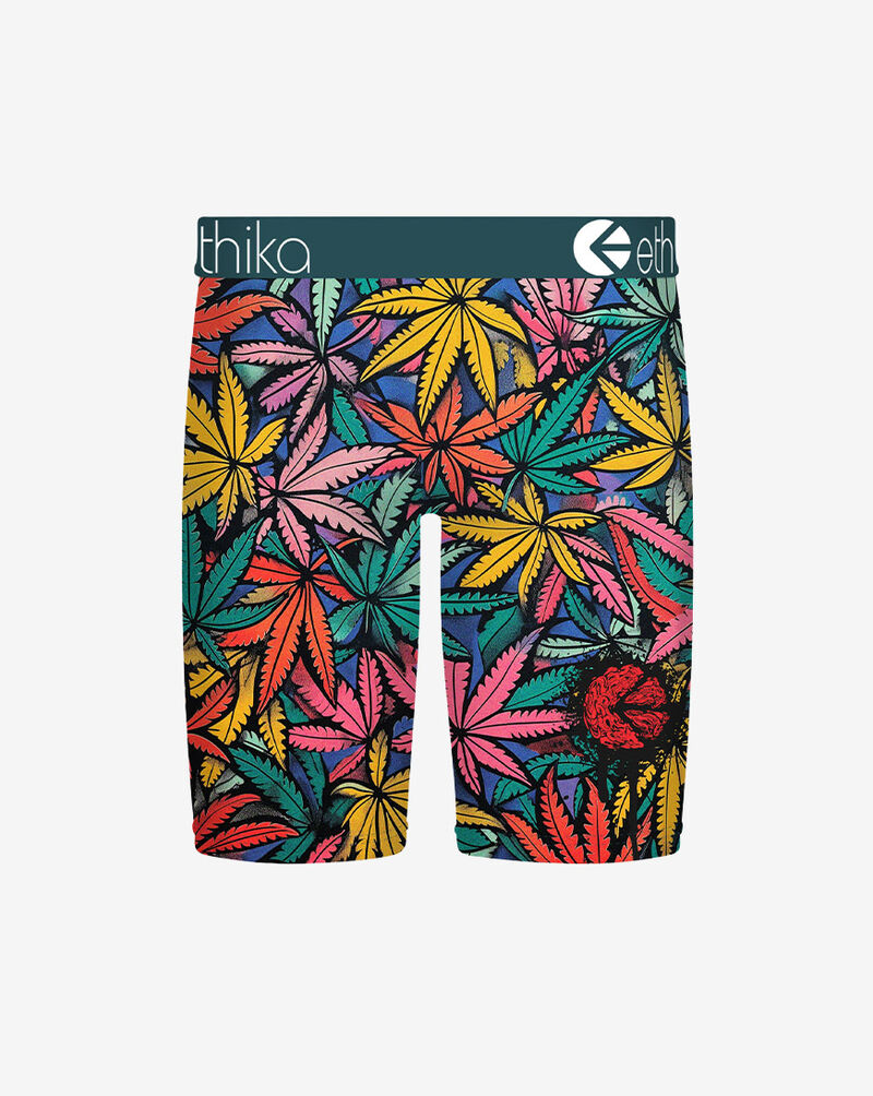 Ethika Briefs MLUS3616 Multi 3