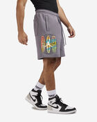 Jordan Flight MVP Shorts DQ7552-014 Grey 2