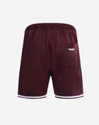 Philadelphia Phillies Area Code Mesh Shorts