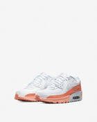 Grade School Air Max 90 LTR SE