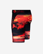 Grade School Dark Safari Briefs
