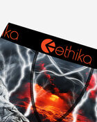 Ethika Grade School Lion Strike Briefs BLST3619 Multi 2