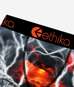 Grade School Lion Strike Briefs