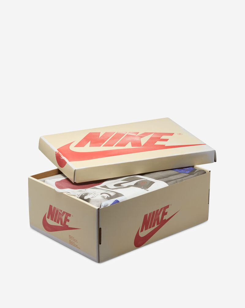 Jordan Air Jordan 1 Retro High DB4612-100 Beige 9