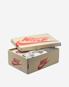 Jordan Air Jordan 1 Retro High DB4612-100 Beige 9