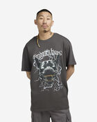 Forgotten Faces electric pit bull tee FOFUS117-03516 Grey 1