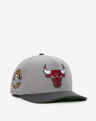 New Era 9Fifty Chicago Bulls A-Frame Snapback Hat 70931903 Grey 1