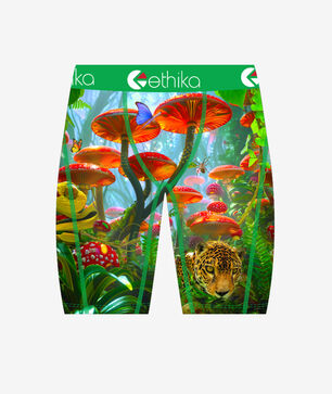 Grade School Kingdom Morning Briefs