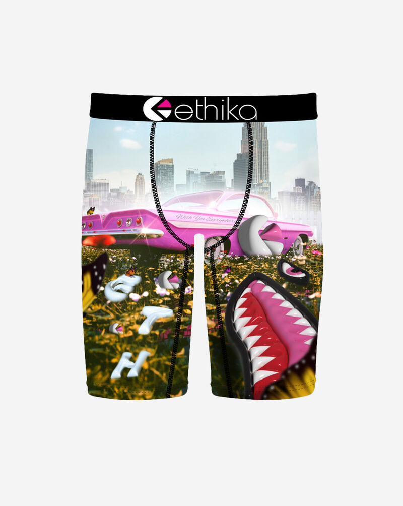 Ethika Grade School BMR 3Dreamin Briefs  BLST3517 Multi 1