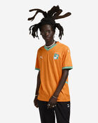 Ivory Coast Home Replica Jersey
