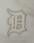 PRO STANDARD Big Boys' Detroit Tigers Neutral Fleece Crewneck LDTB5314985-TAU Beige 2
