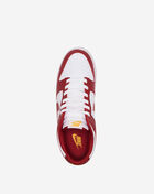 Dunk Low Retro