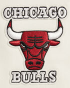 PRO STANDARD Chicago Bulls Retro Classic Rib Fleece Cropped Pullover Hoodie BCBC56221-ERD cream 4