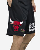 Chicago Bulls Mesh Practice Shorts