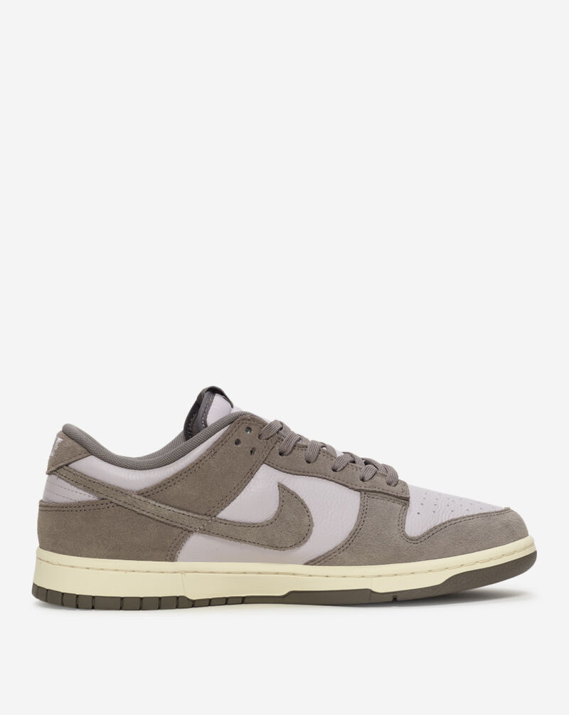 Nike Dunk Low Retro SE FQ8249-001 Brown 4