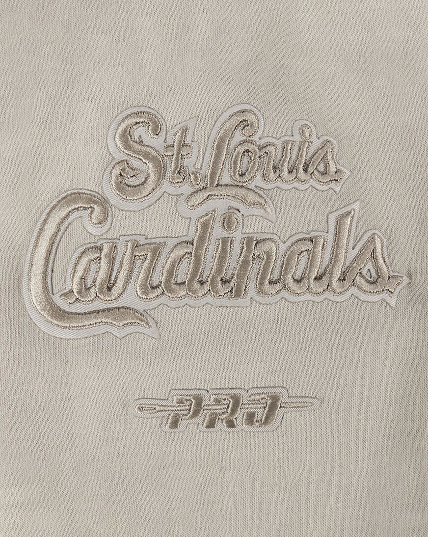 Shop PRO STANDARD Big Boys' St. Louis Cardinals Neutral Fleece