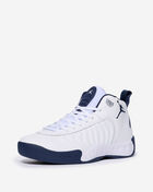 Jordan Jumpman Pro DN3686-101 White 2