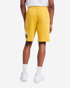 Big Fleece Logo Shorts
