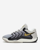 Nike KD 17 FJ9487-003 Grey 1
