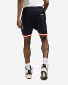Detroit Tigers Area Code Mesh Shorts