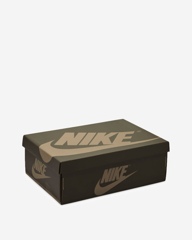 Jordan Air Jordan 1 High OG "Khaki" FD2596-201 Beige 10