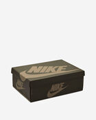 Jordan Air Jordan 1 High OG "Khaki" FD2596-201 Beige 10