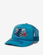 Charlotte Hornets Puff the Magic Trucker