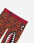 Grade School BMR Topo Briefs 