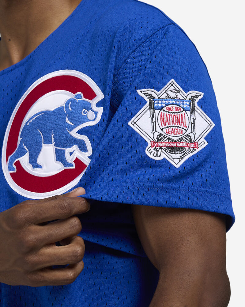 Mitchell  Ness Ryne Sandberg Chicago Cubs Authentic Bating Practice Jersey ABBF3353-CCU97RSAROYA Blue 3