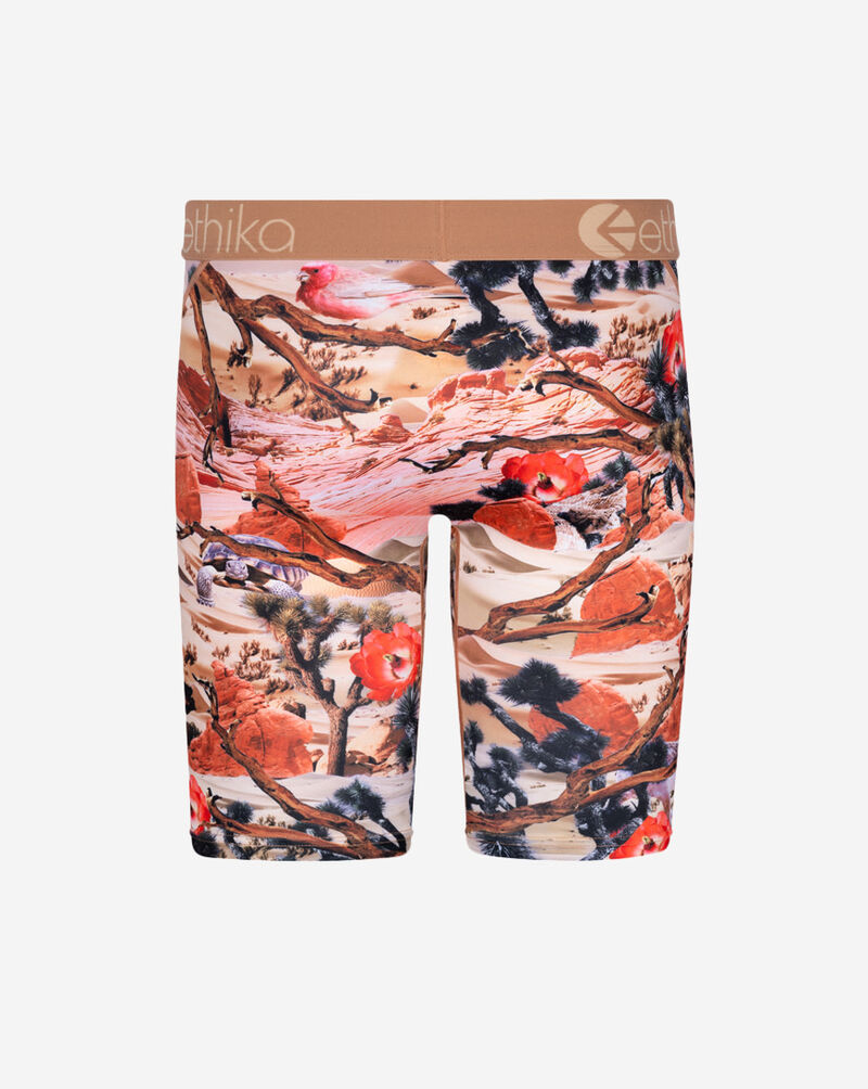 Ethika Joshua Camp Briefs MLUS2937 Multi 3