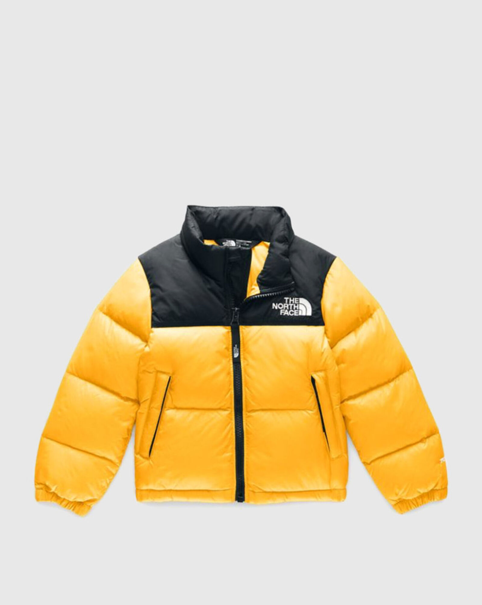 Shop The North Face Toddler Boys' 1996 Retro Nuptse Down Jacket