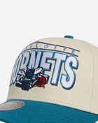 Charlotte Hornets Billboard 2.0 Snapback Hat