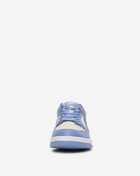 Nike Big Kids' Dunk Low FB9109-400 Blue 3