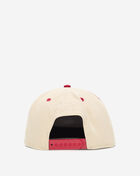 9Fifty Atlanta Braves Team Art 2-Tone Snapback Hat