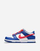 Nike Grade School Dunk Low CW1590-104 Blue 1