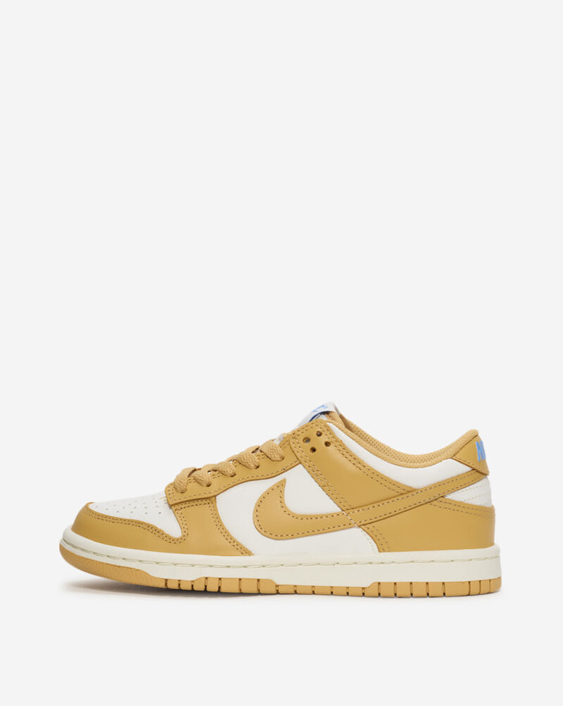 Nike Big Kids' Dunk Low FB9109-700 Yellow 1