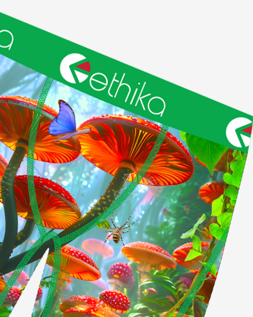 Shop Ethika Grade School Kingdom Morning Briefs MLUS3617 multi