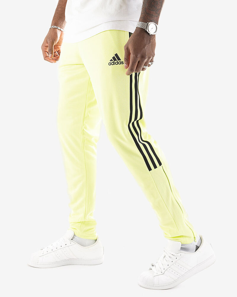 tiro 21 pants