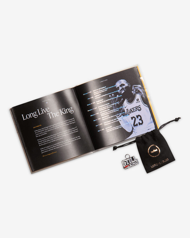 Nike LeBron XXIII "Shut Up And Dribble" IH1513-002 Grey 9