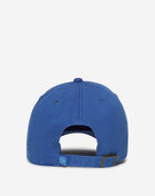 Detroit Lions Dad Cap