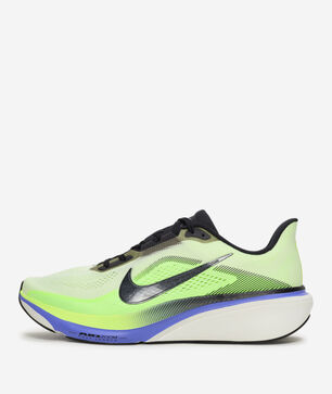 Pegasus 42