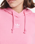 Essentials Crop Hoodie 